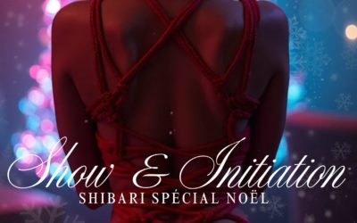 Soirée Shibari Noël Party