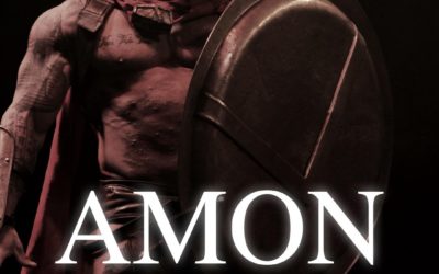 Show Strip et Pyrotechnie by Amon